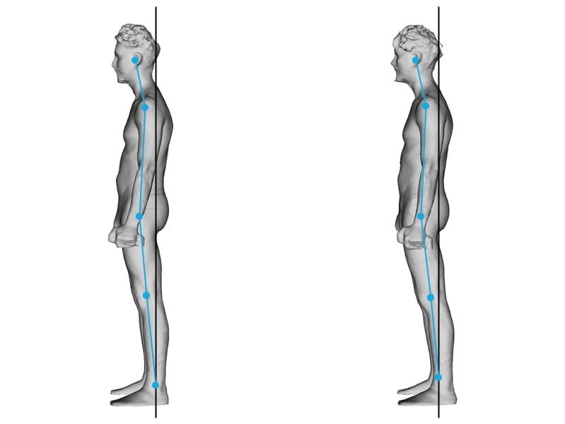 Fit 3D Andrea Fit 3D Andrea